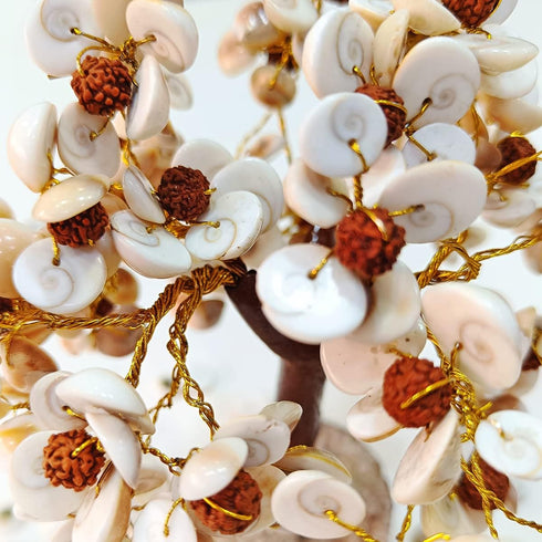 Pushkar Rudraksha Gomti Chakra Tree